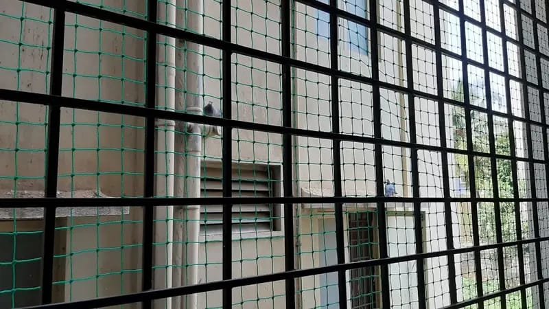 Grill Balcony Nets