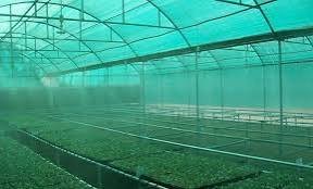 Shade Nets